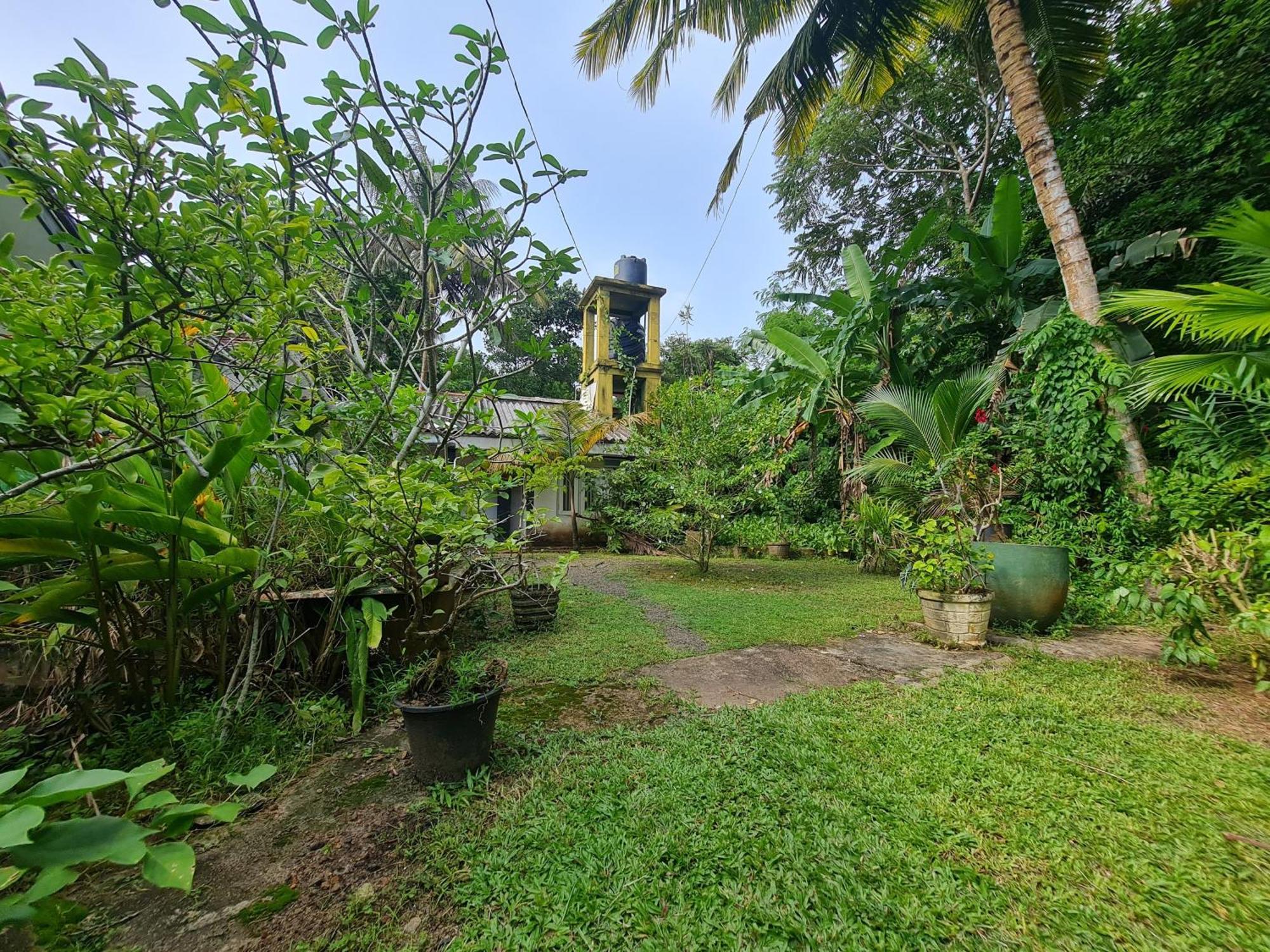 Hill Side Kings Villa ฮิกคาดูวา ภายนอก รูปภาพ