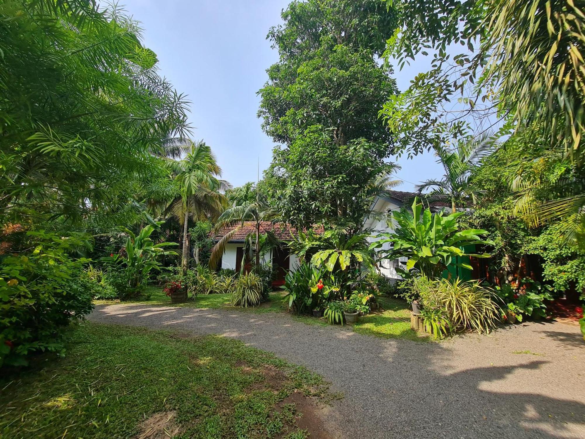 Hill Side Kings Villa ฮิกคาดูวา ภายนอก รูปภาพ