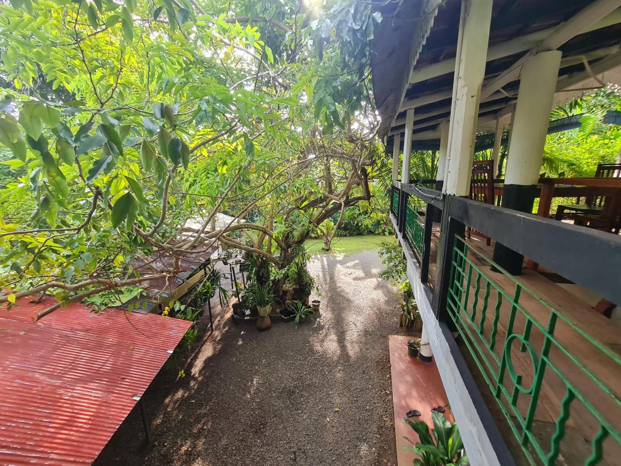 Hill Side Kings Villa ฮิกคาดูวา ภายนอก รูปภาพ