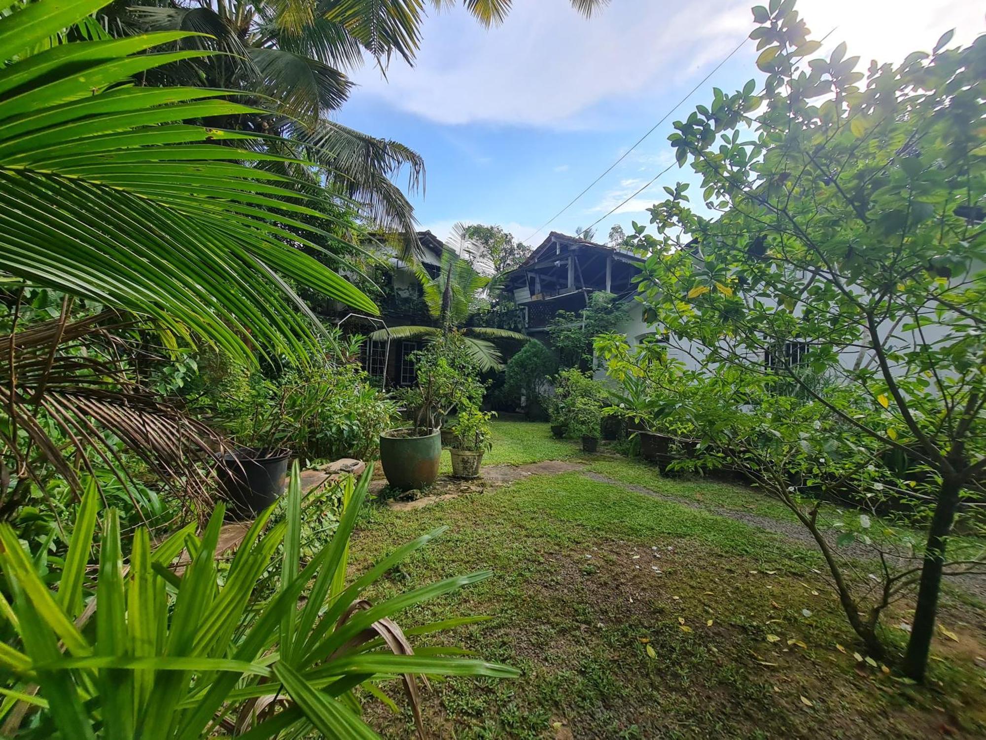 Hill Side Kings Villa ฮิกคาดูวา ภายนอก รูปภาพ