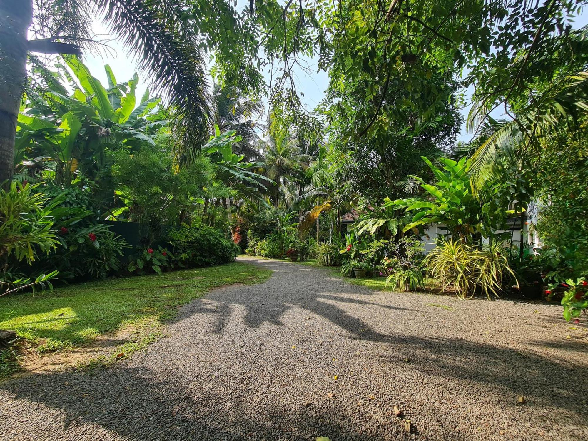 Hill Side Kings Villa ฮิกคาดูวา ภายนอก รูปภาพ