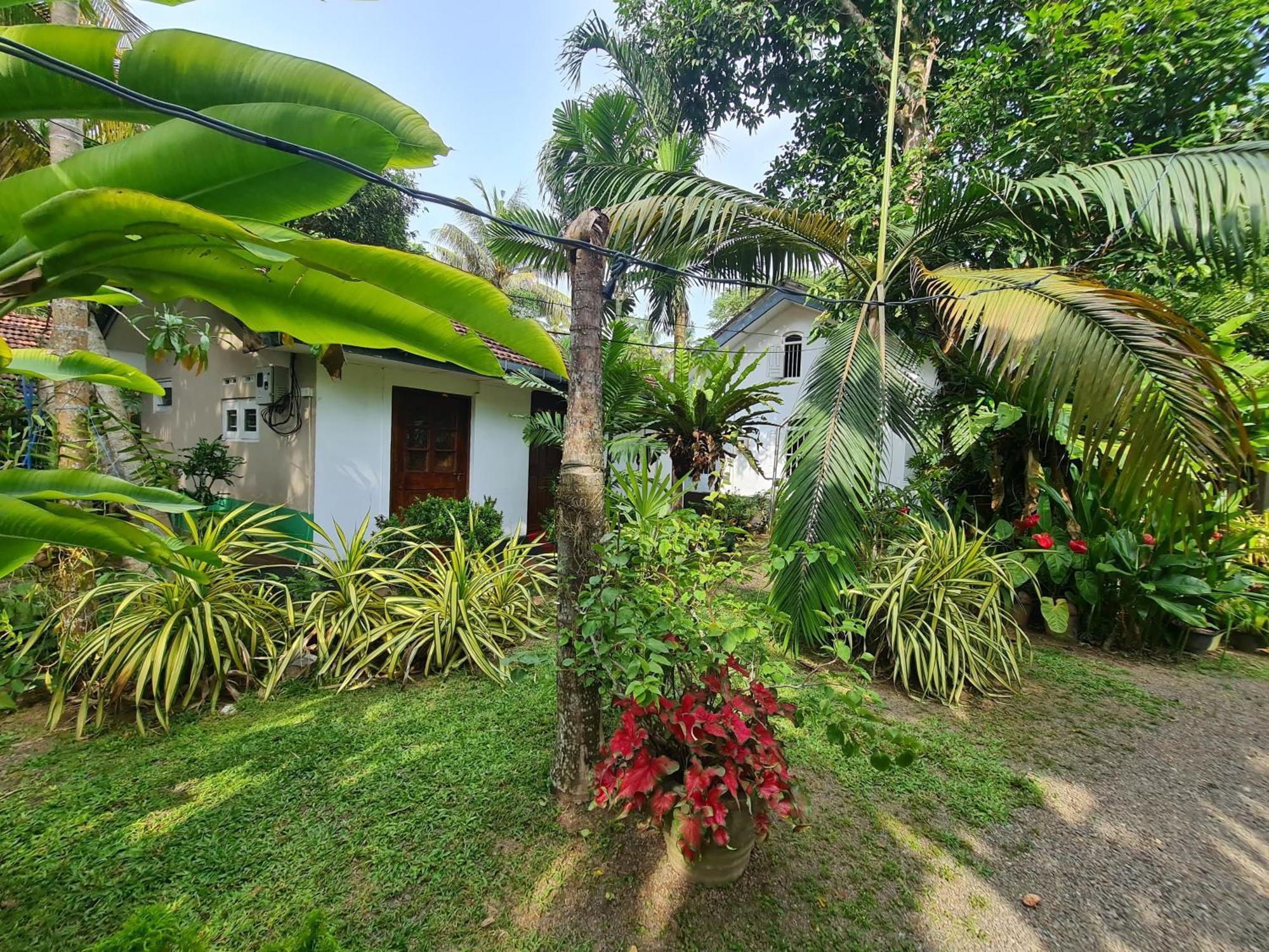 Hill Side Kings Villa ฮิกคาดูวา ภายนอก รูปภาพ