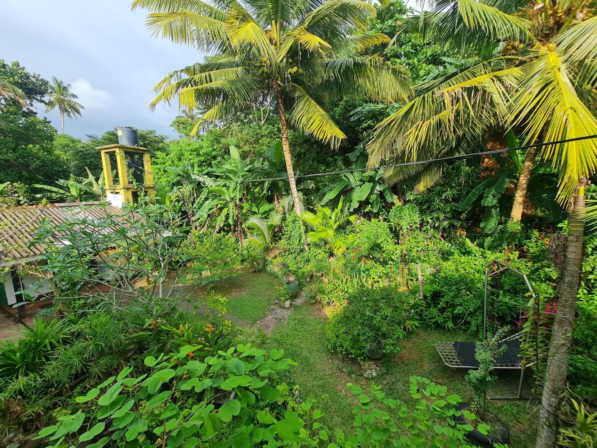 Hill Side Kings Villa ฮิกคาดูวา ภายนอก รูปภาพ